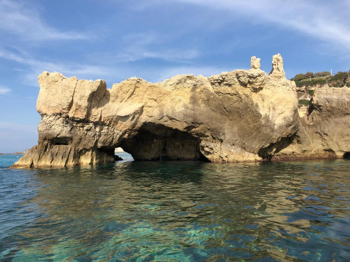 Rosa Tropea