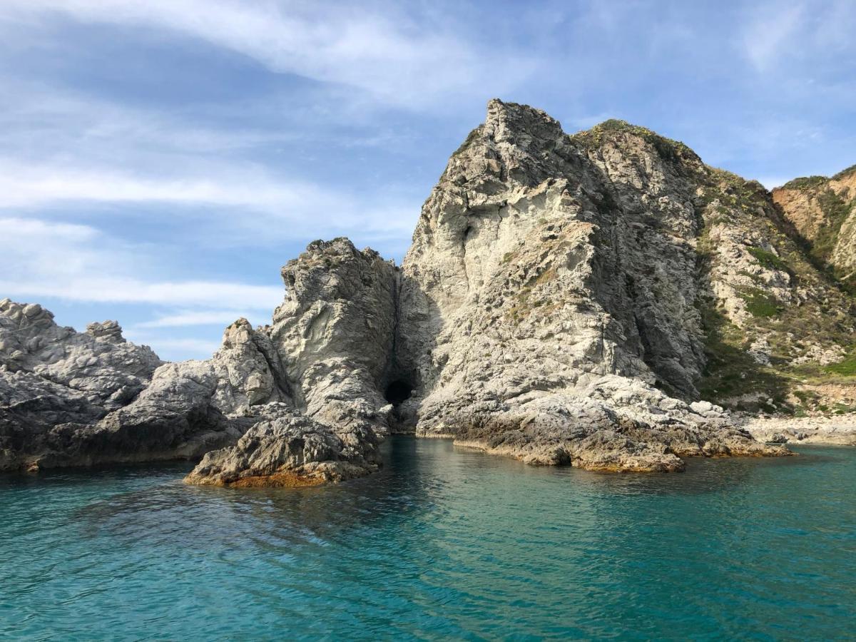 Rosa * Tropea